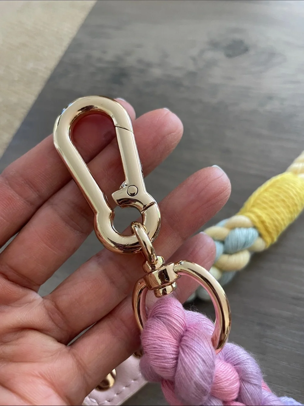 Pastel Rainbow Rope Dog Leash with Gold Hardware